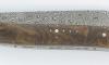 Laguiole Nature Damas Noyer 3